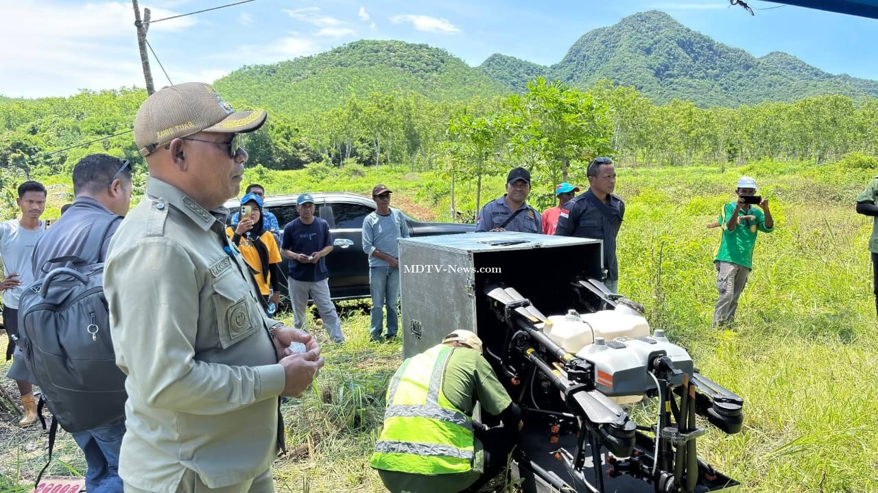 PT Tigate Trees Indonesia Tinjau Lahan di Watanglolong, Bupati Lembata Dorong Kerja Sama Perkebunan Mente Berbasis Teknologi