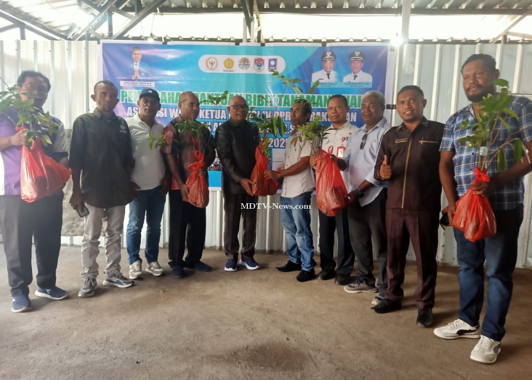 Serah 127 Paket API dan 10.555 Bibit Buah, Bupati Lembata Tegaskan Tidak Boleh Dijual dan Wajib Dimonitor