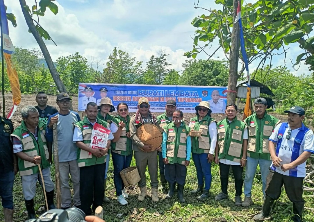 BUPATI LEMBATA TANAM JAGUNG HIBRIDA DI DESA TAPOBARAN \" Dorong Produktivitas Purna Migran dan Petani Lokal Lewat Lahan Ekspansi\"