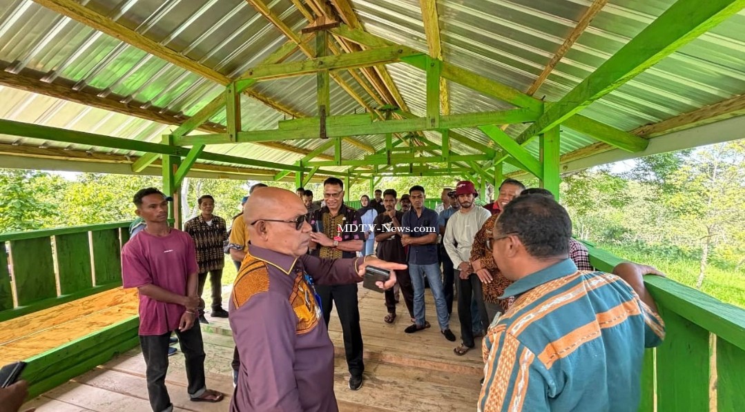 Kandang Penggembalaan Waowala Tingkatkan Ketahanan Pangan Daerah
