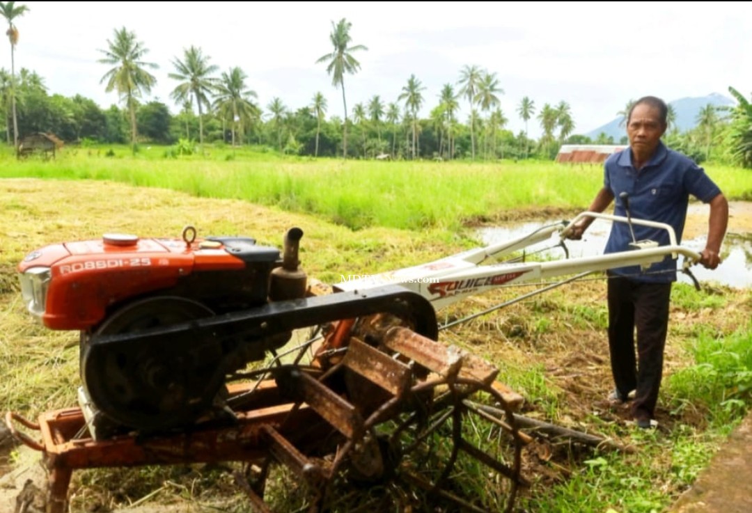 Bantuan Alsintan Pemkab Lembata Dongkrak Produksi Padi Petani Waikomo