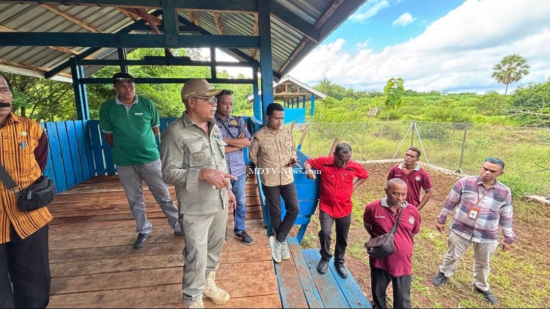 Bangun Bukit Ruminansia Terpadu, Bupati Lembata Perkuat Fondasi Peternakan Modern dan Ekonomi Rakyat