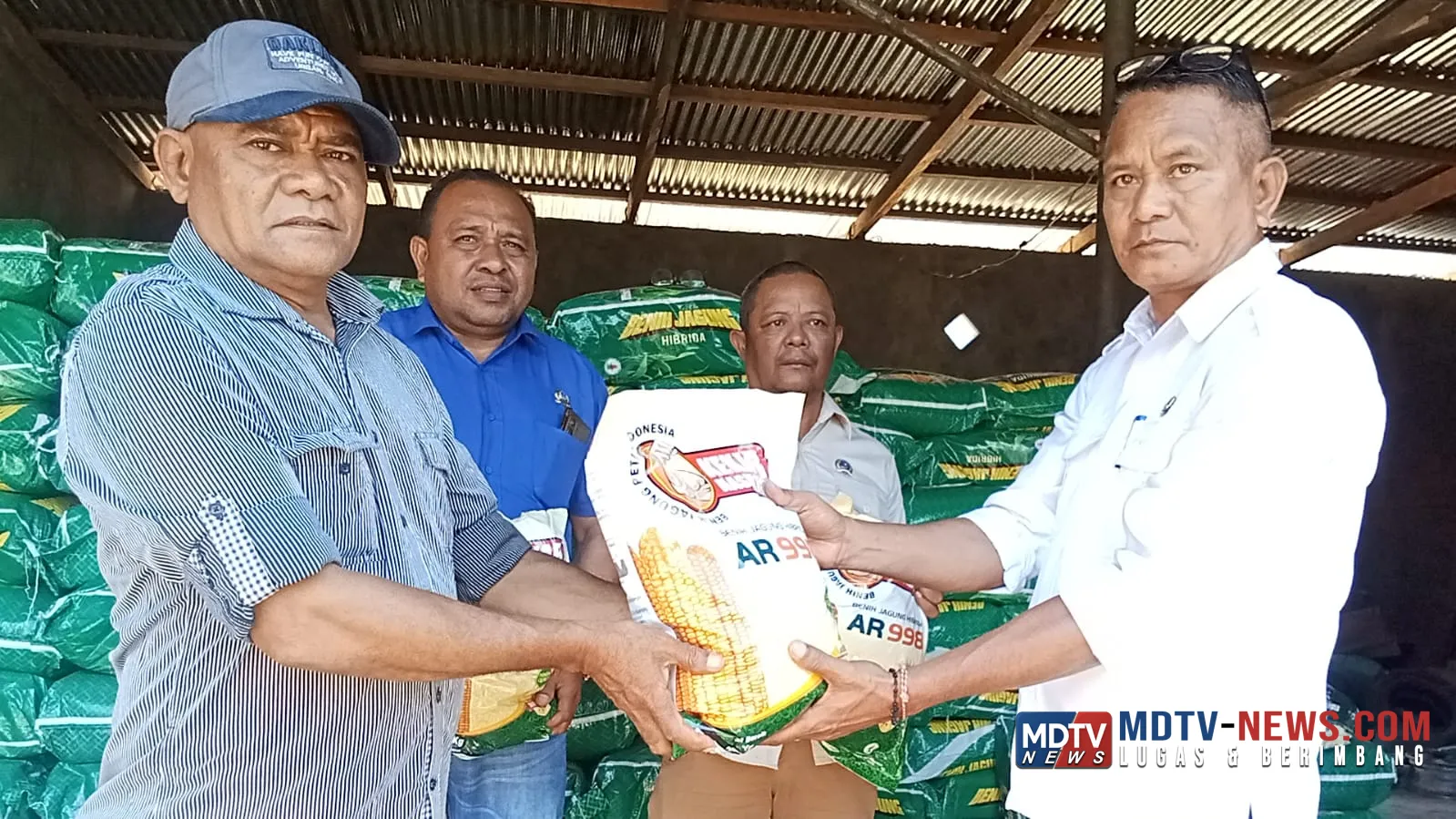 Ahmad Yohan Salurkan 30 Ton Benih Jagung Hibrida untuk Petani Flores Timur