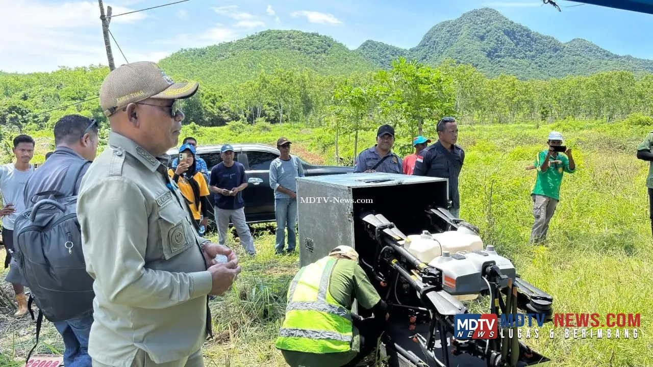 PT Tigate Trees Indonesia Tinjau Lahan di Watanglolong, Bupati Lembata Dorong Kerja Sama Perkebunan Mente Berbasis Teknologi