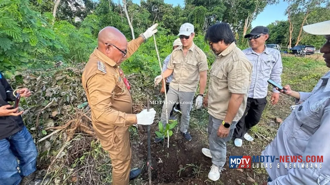 Pemkab Lembata Dorong Pengembangan Jambu Mente, Investor Lakukan Monitoring dan Survei Lapangan